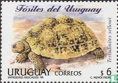 Prehistorische Fauna van Uruguay