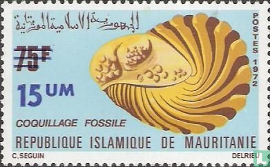 Fossil shells, with overprint