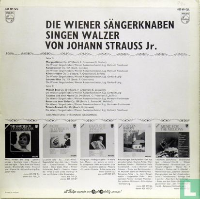 Die Wiener Sängerknaben singen Walzer von Johann Strauss Jr. - Afbeelding 2