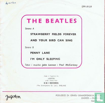 Strawberry fields forever - Image 2
