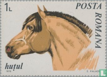 Pferde-