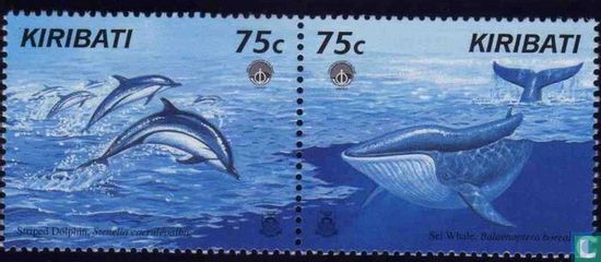Walvissen en Dolfijnen