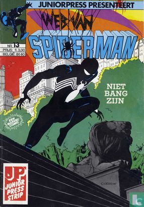 Web van Spiderman 13 - Image 1