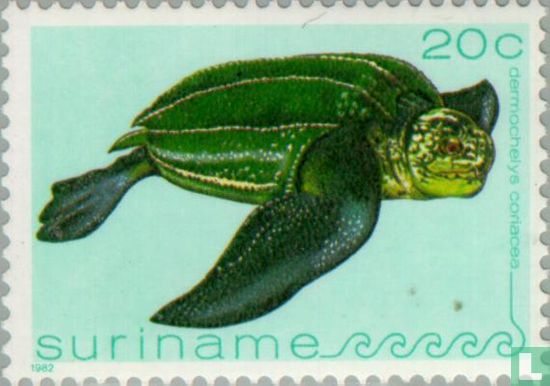 Leatherback Sea-Turtle