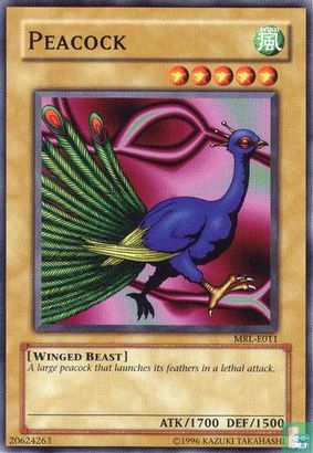 Peacock - Afbeelding 1