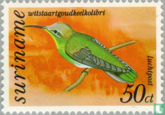 Colibri guaïnumbi