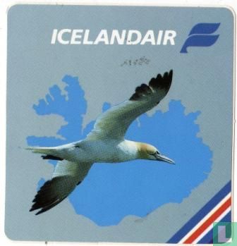 Icelandair (01) Seagull
