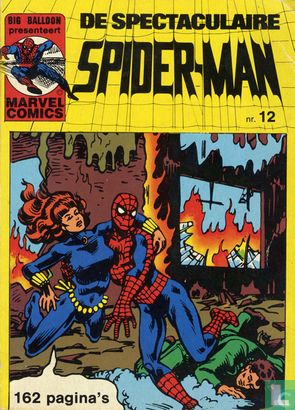 De spectaculaire Spider-Man 12 - Afbeelding 1