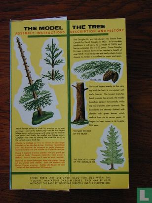 Fir Tree, Pine Tree - Image 3