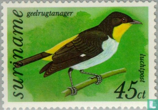 Yellow-backed tanager
