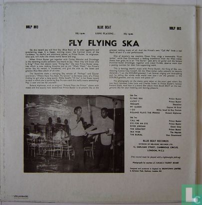 Fly flying Ska - Afbeelding 2