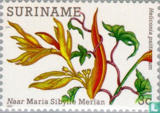 Tableaux florales Maria Sibylle Merian