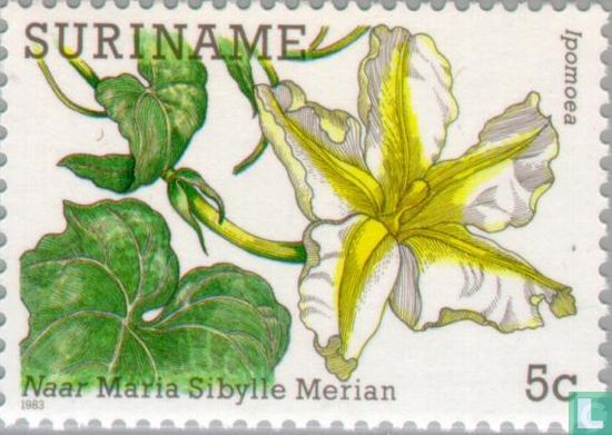 Tableaux florales Maria Sibylle Merian