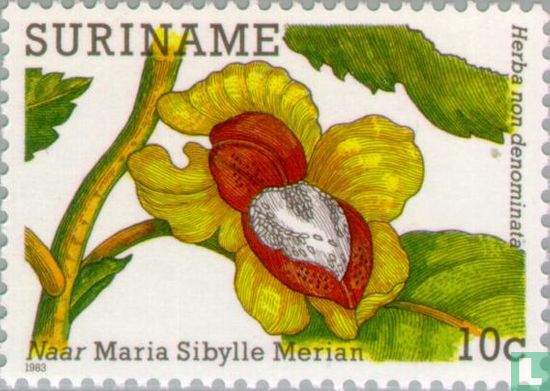 Flower paintings Maria Sibylle Merian