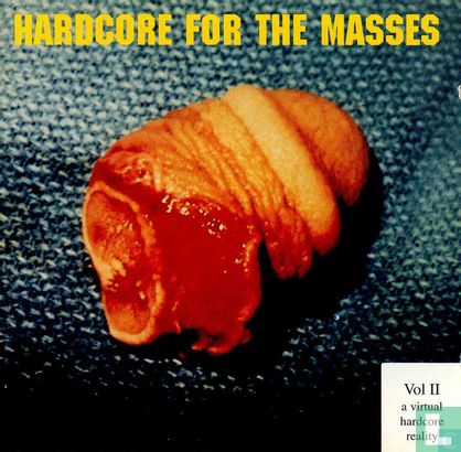 Hardcore for the Masses Vol. 2 - Afbeelding 1
