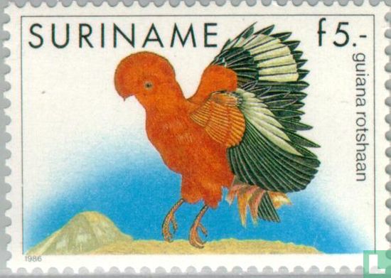 Guyana-Klippenvogel