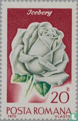 Roses (139)