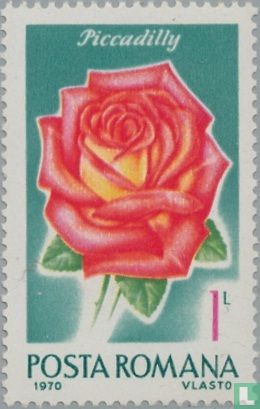 Roses (142)