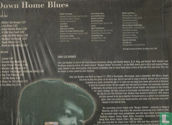 Down home blues - Afbeelding 2
