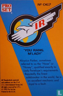 "You rang M'Lady" - Image 2