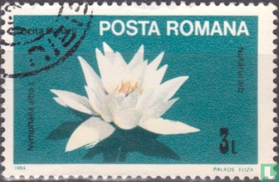 Bloemen van de Donaudelta
