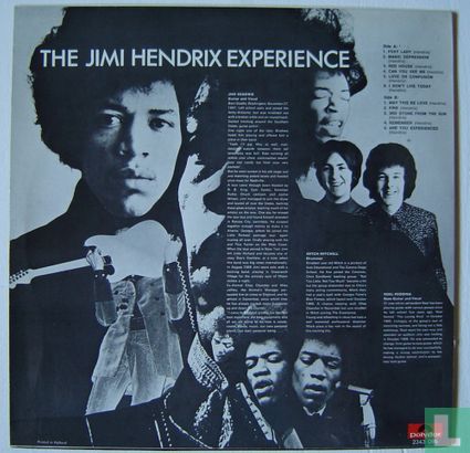 Are You Experienced  - Image 2
