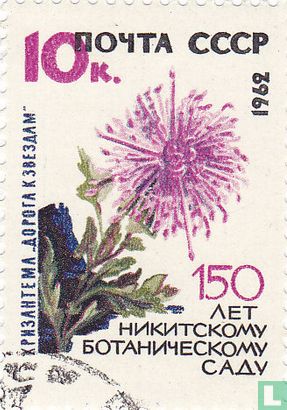 herbes Nikitsky 
