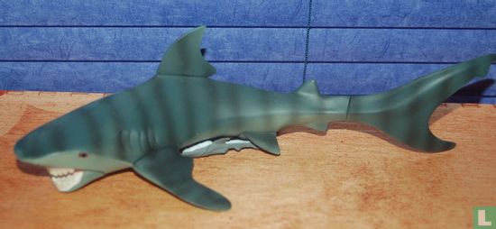Steve Irwin mit Haien und Pilotfisch - Bild 2