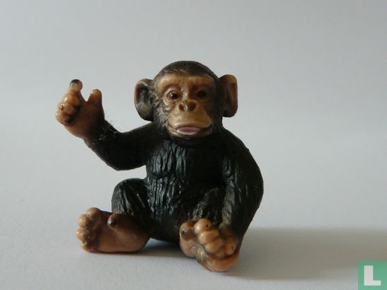 Chimpansee baby - Afbeelding 1