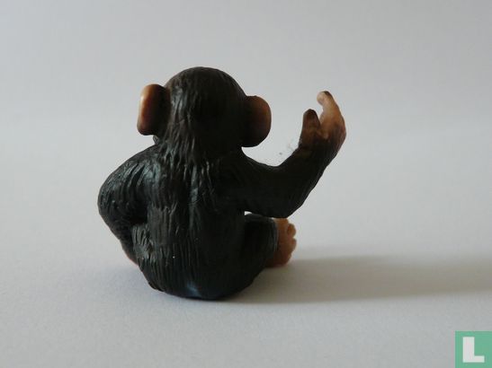 Bébé Chimpanzé - Image 2