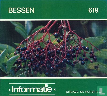Bessen - Image 1