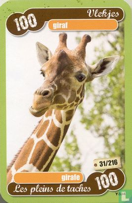giraf - Image 1