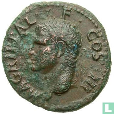 Romeinse Keizerrijk As van Marcus Agrippa geslagen onder Keizer Caligula 37-41 n.Chr. - Afbeelding 2