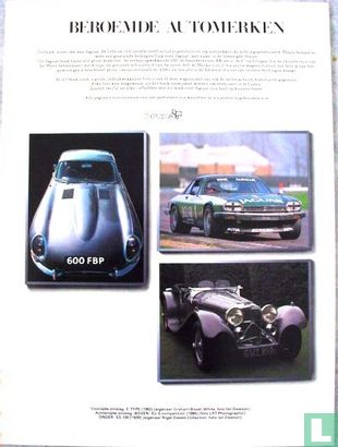 Jaguar - Bild 2