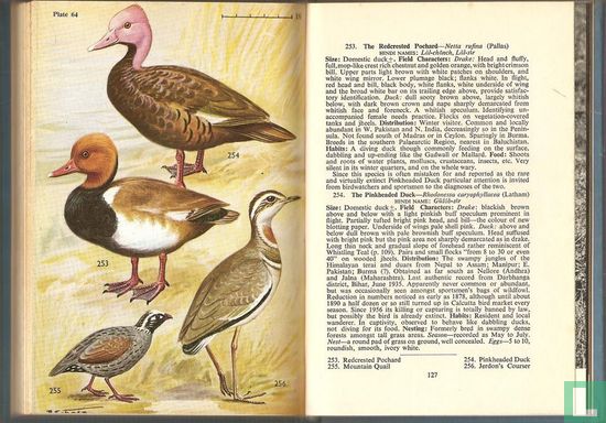 The book of Indian birds - Image 2