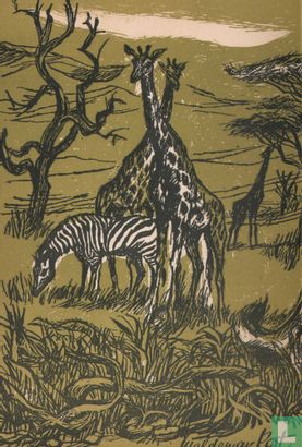 Safari - Afbeelding 2