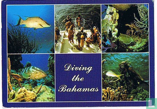 Diving the Bahamas