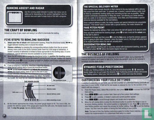 Cricket 07 - Image 3