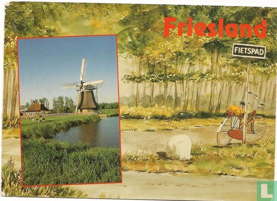 Friesland (10.939)