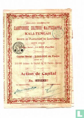 Caoutchouc Cultuur Maatschappij Kali-Tengah, Action de Capital, 10 Florins, 1931