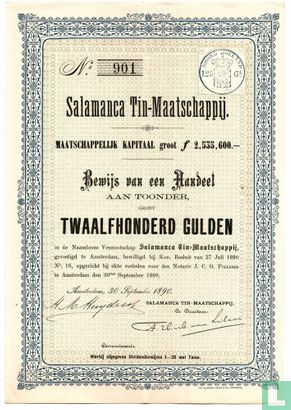 Salamanca Tin Maatschappij, Bewijs van een aandeel f 1.200,=, 1890