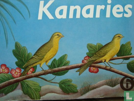 Kanaries - Image 1
