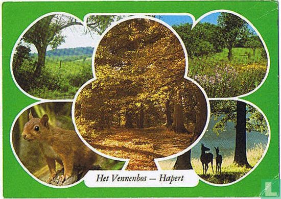 Het Vennenbos - Hapert