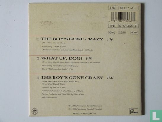 The boys gone crazy - Afbeelding 2