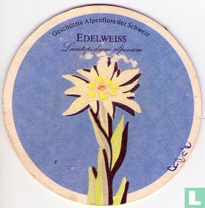 Flora: Edelweiss / Edelbräu  - Bild 1