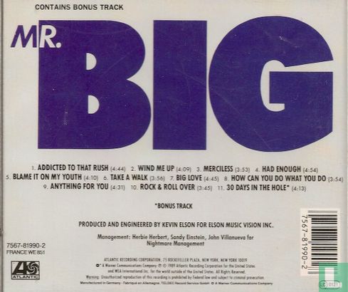 Mr. Big - Image 2