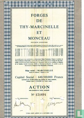 Forges de Thy-Marcinelle et Monceau, Action