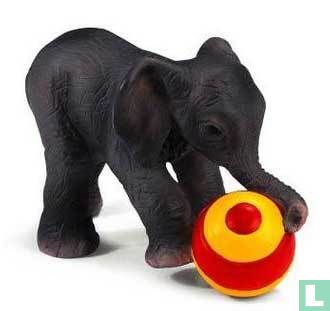 Baby Elephant avec le ballon