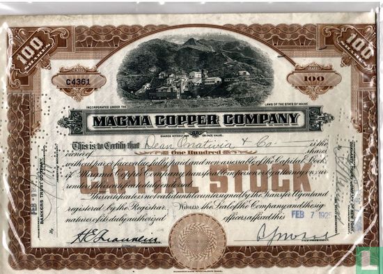 Magma Copper Company, Certificate for 100 shares