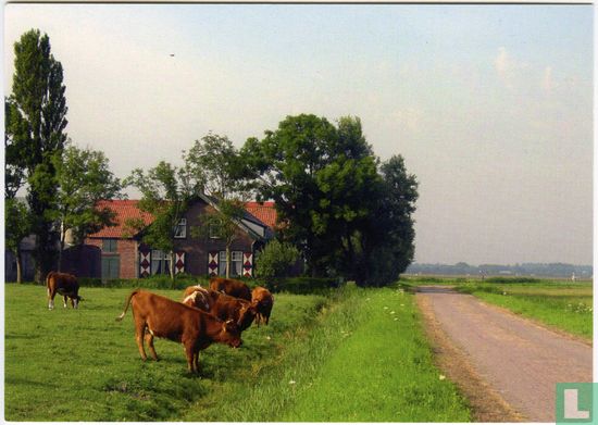 Oude Broekweg met boerderij
